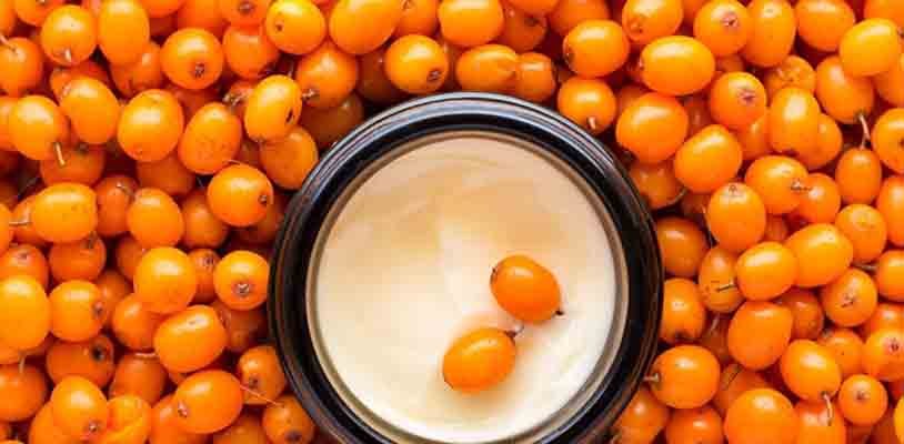 ESPINO AMARILLO ENERGIA PARA TU PIEL Y SALUD